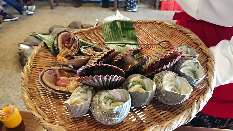 Japan 171205-245__filtered_web.jpg